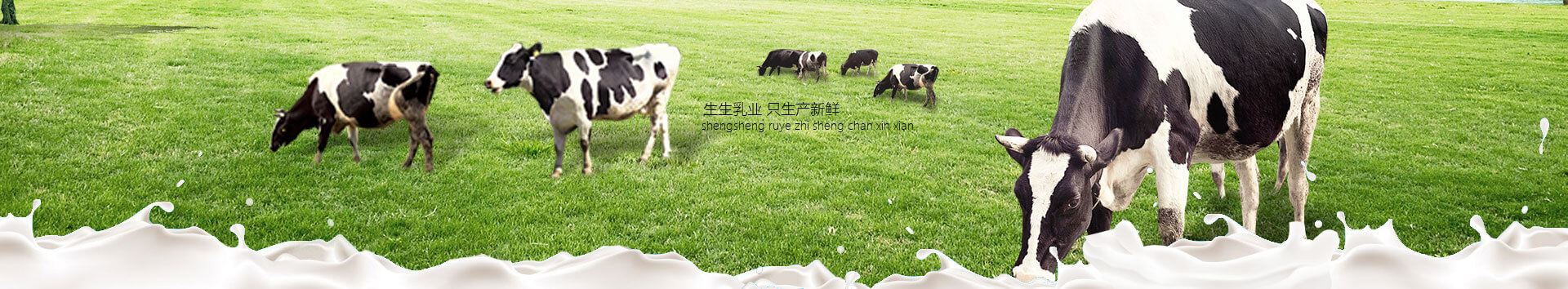 洛陽(yáng)訂奶_酸奶代理_酸奶招商_牛奶品牌-生生乳業(yè)